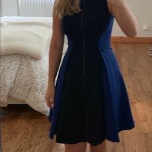 Elite Tahari skater dress